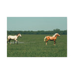 Load image into Gallery viewer, "Running in the Wild" Canvas
