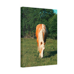 Load image into Gallery viewer, "Golden and Glowing Amongst the Oaks" Canvas
