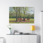 Load image into Gallery viewer, "At the Heart of the Herd" Canvas
