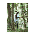 Load image into Gallery viewer, "Hidden in the Quiet-Nizhoni" Canvas
