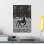 Load image into Gallery viewer, "Eyes on Freedom" Canvas
