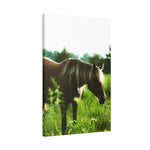 Load image into Gallery viewer, "Halo of the Wild" Canvas
