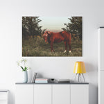 Load image into Gallery viewer, "Ember in the Field" Canvas
