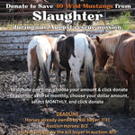 Load image into Gallery viewer, $200,000 left to raise to rescue 40 Mustangs from During August Rescue Mission
