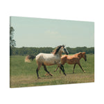 Load image into Gallery viewer, "Running With Her Son" Canvas
