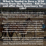 Load image into Gallery viewer, $200,000 left to raise to rescue 40 Mustangs from During August Rescue Mission

