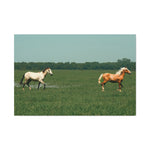 Load image into Gallery viewer, "Running in the Wild" Canvas
