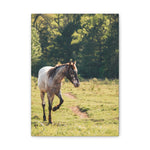 Load image into Gallery viewer, "Magnolia's Path" Canvas
