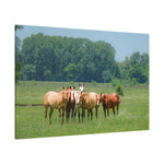 Load image into Gallery viewer, "Bonding in the Meadow" Canvas
