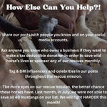 Load image into Gallery viewer, $200,000 left to raise to rescue 40 Mustangs from During August Rescue Mission
