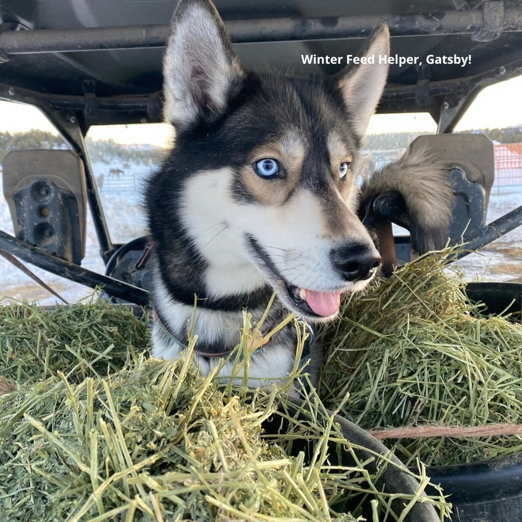 Winter Hay Fund!