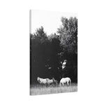 Load image into Gallery viewer, "Held Between Them" Canvas
