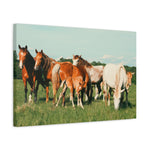 Load image into Gallery viewer, "A Family of Many Colors" Canvas
