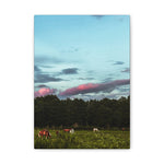 Load image into Gallery viewer, Copy of "Under a Painted Sky" Canvas
