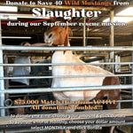 Load image into Gallery viewer, $200,000 left to raise to rescue 40 Mustangs During September Rescue Mission
