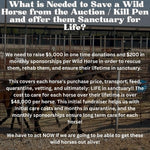 Load image into Gallery viewer, $200,000 left to raise to rescue 40 Mustangs During September Rescue Mission
