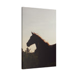Load image into Gallery viewer, "Where He Belongs" Canvas
