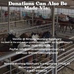 Load image into Gallery viewer, $200,000 left to raise to rescue 40 Mustangs During September Rescue Mission
