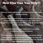 Load image into Gallery viewer, $200,000 left to raise to rescue 40 Mustangs During September Rescue Mission
