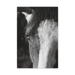 Load image into Gallery viewer, "Seen Through Henley's Eyes" Canvas
