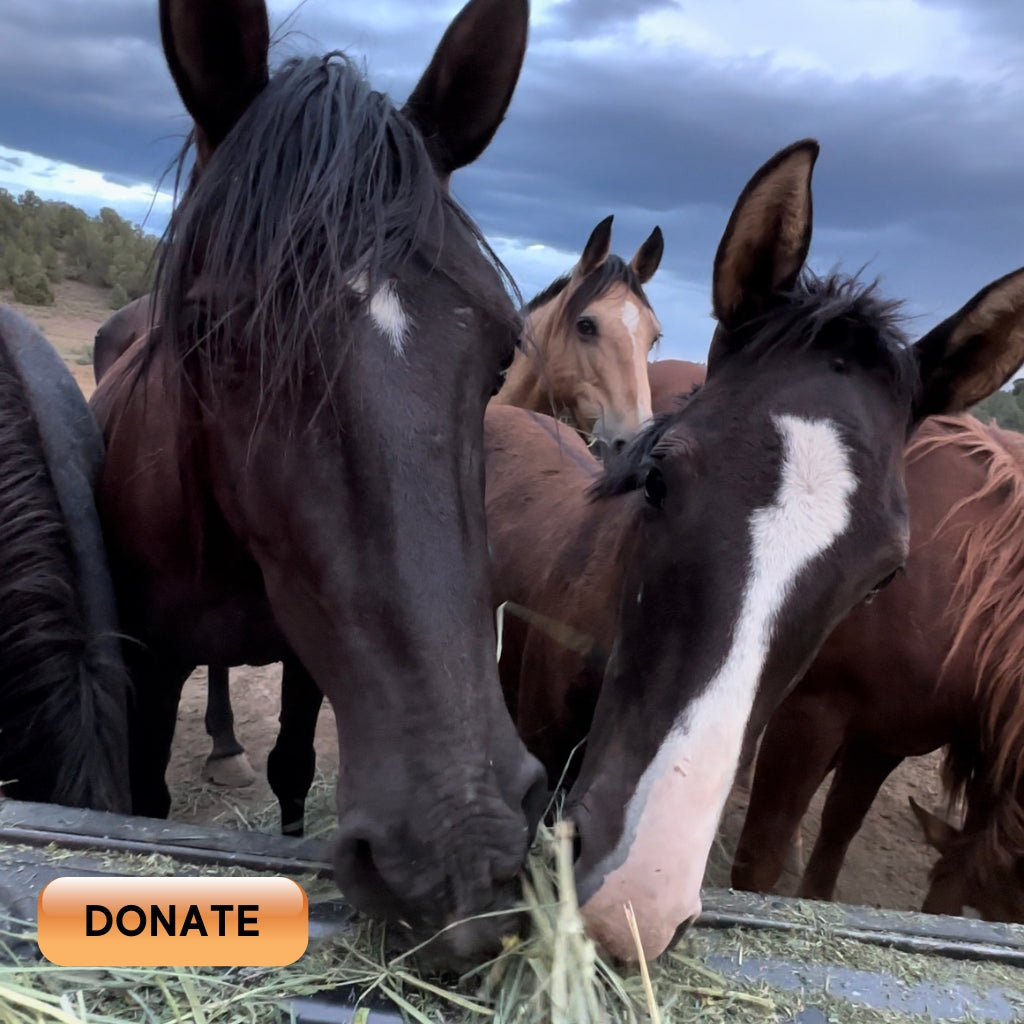 Donate to Feed the Herd