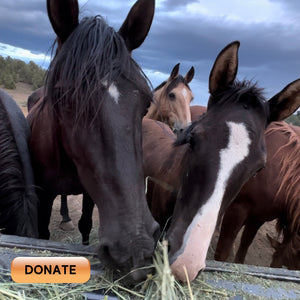 Donate to Feed the Herd