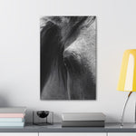 Load image into Gallery viewer, "The Window to the Wild" Canvas
