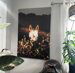 "Face to Face" Canvas