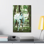 Load image into Gallery viewer, "Curiously Quiet" Canvas
