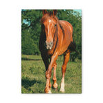 Load image into Gallery viewer, "Eyes Set Forward" Canvas
