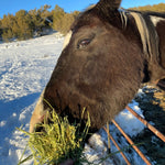 Load image into Gallery viewer, Winter Hay Fund!
