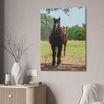 Load image into Gallery viewer, "Where the Sun Finds Them" Canvas
