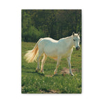 Load image into Gallery viewer, "A Ghost in the Golden Meadow" Canvas
