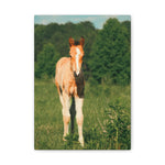 Load image into Gallery viewer, "A New and Wild Heart" Canvas

