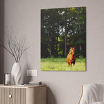 Load image into Gallery viewer, Copy of "Ely-Running in the Sunlight" Canvas
