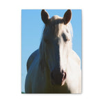 Load image into Gallery viewer, "Between Sun and Shadow" Canvas
