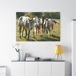 Load image into Gallery viewer, "The Gathering in the Sun" Canvas
