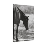 Load image into Gallery viewer, "Feathers of the Wild" Canvas
