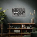 Load image into Gallery viewer, "Shadows in Motion" Canvas
