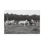 Load image into Gallery viewer, "Drawn to You" Canvas
