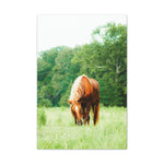 Load image into Gallery viewer, "Ely-Beneath the White Star" Canvas
