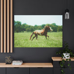 Load image into Gallery viewer, "Bronze, the Unbroken" Canvas
