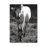 Load image into Gallery viewer, "The Weight of His Story" Canvas
