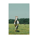 Load image into Gallery viewer, "Oliver Comes to Investigate" Canvas
