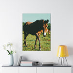 Load image into Gallery viewer, "Eyes That Follow" Canvas
