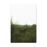 Load image into Gallery viewer, "Looking Back" Canvas
