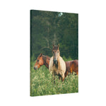 Load image into Gallery viewer, "Standing Guard" Canvas
