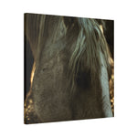 Load image into Gallery viewer, &quot;The Quiet Place&quot; Canvas
