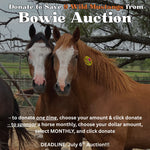 Load image into Gallery viewer, $1,770 in MONTHLY SPONSORSHIPS still needed to save 3 BLM Mustangs and a Reservation Mustang Family of 6 from Kill Buyers!!!!
