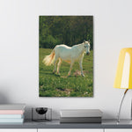 Load image into Gallery viewer, "A Ghost in the Golden Meadow" Canvas
